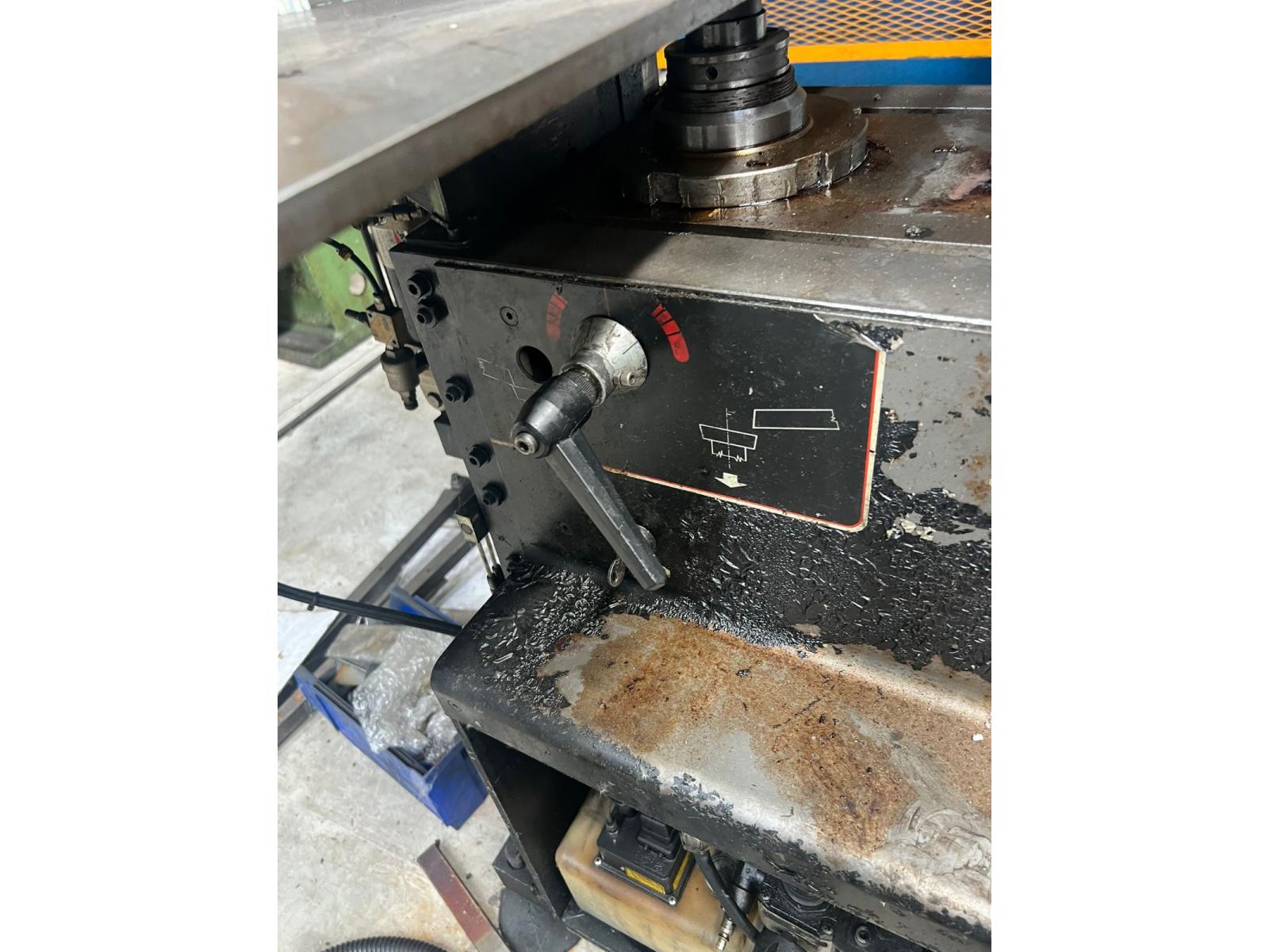 BORDATRICE ELMA E114R