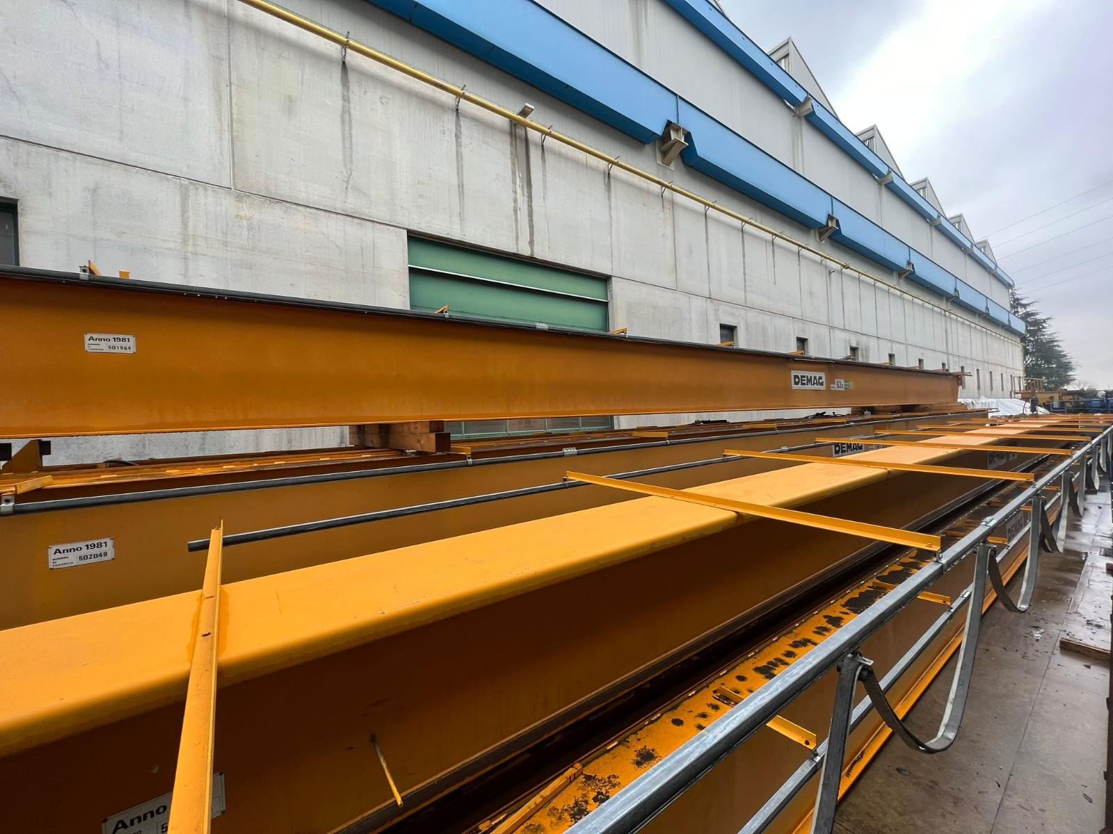 06 CARRIPONTE BITRAVE DEMAG DA 6.3 A 10 TON