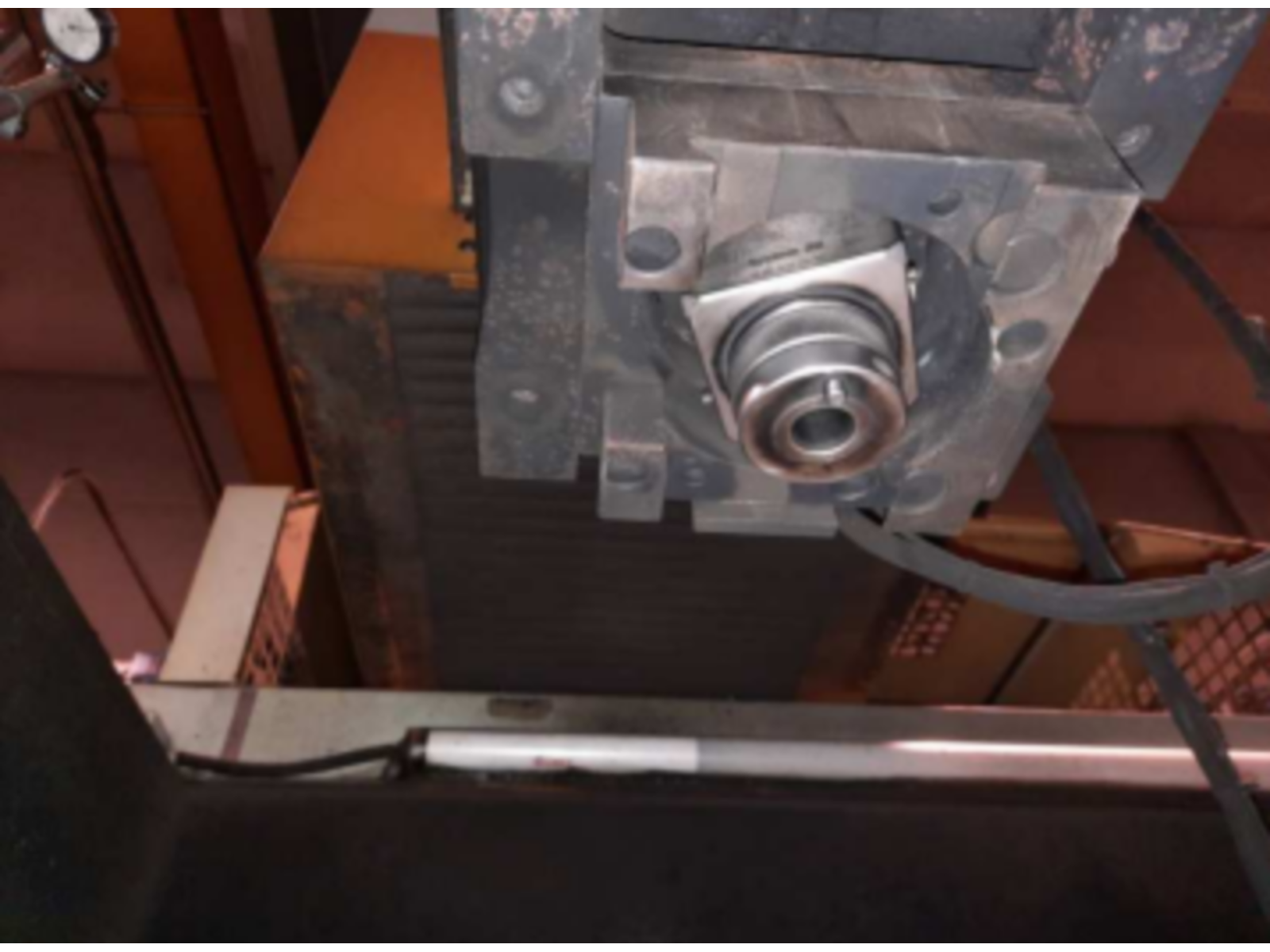 FALLIMENTO IN BOLOGNA