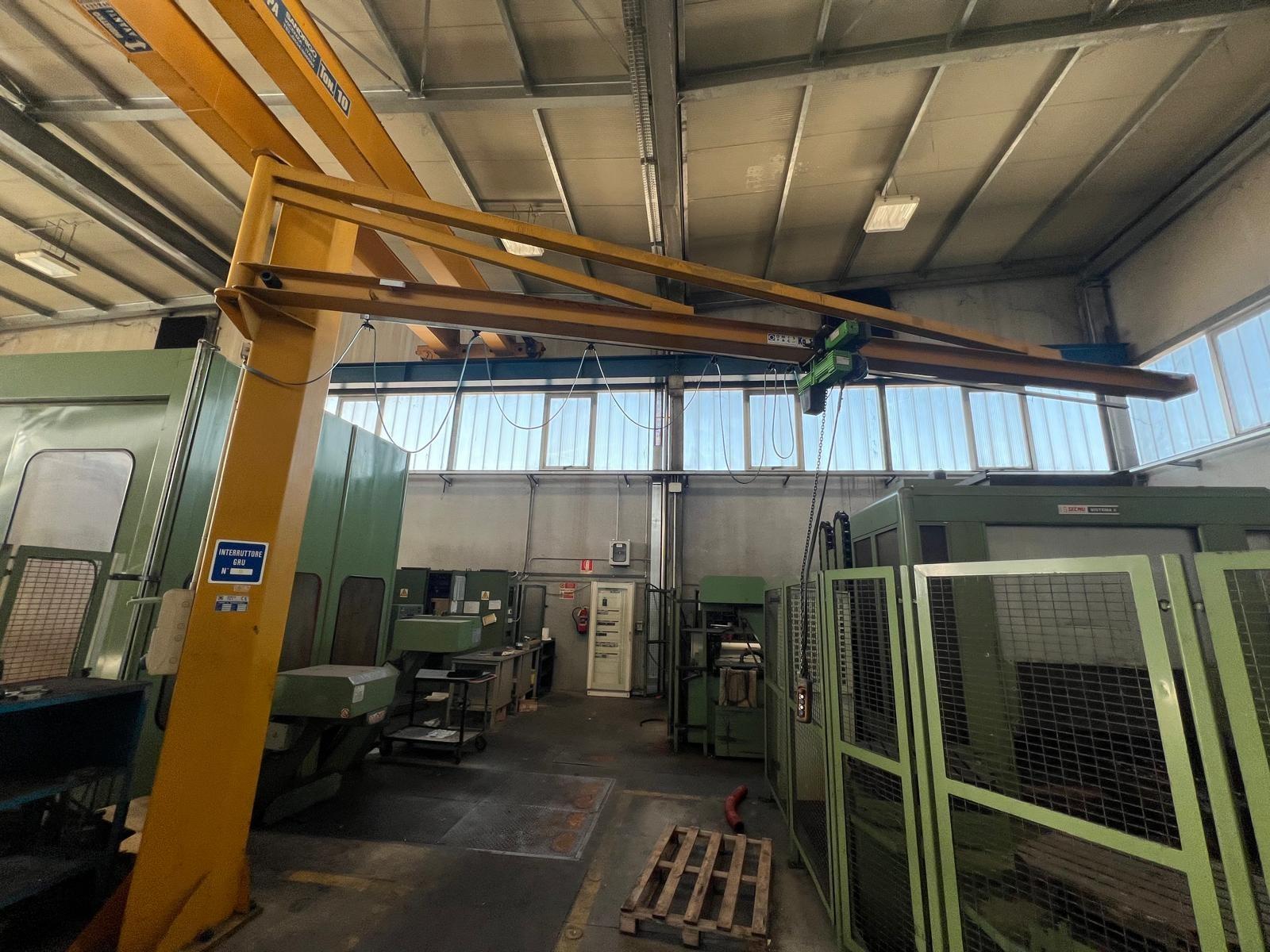 Gru a colonna omis 1000 kg