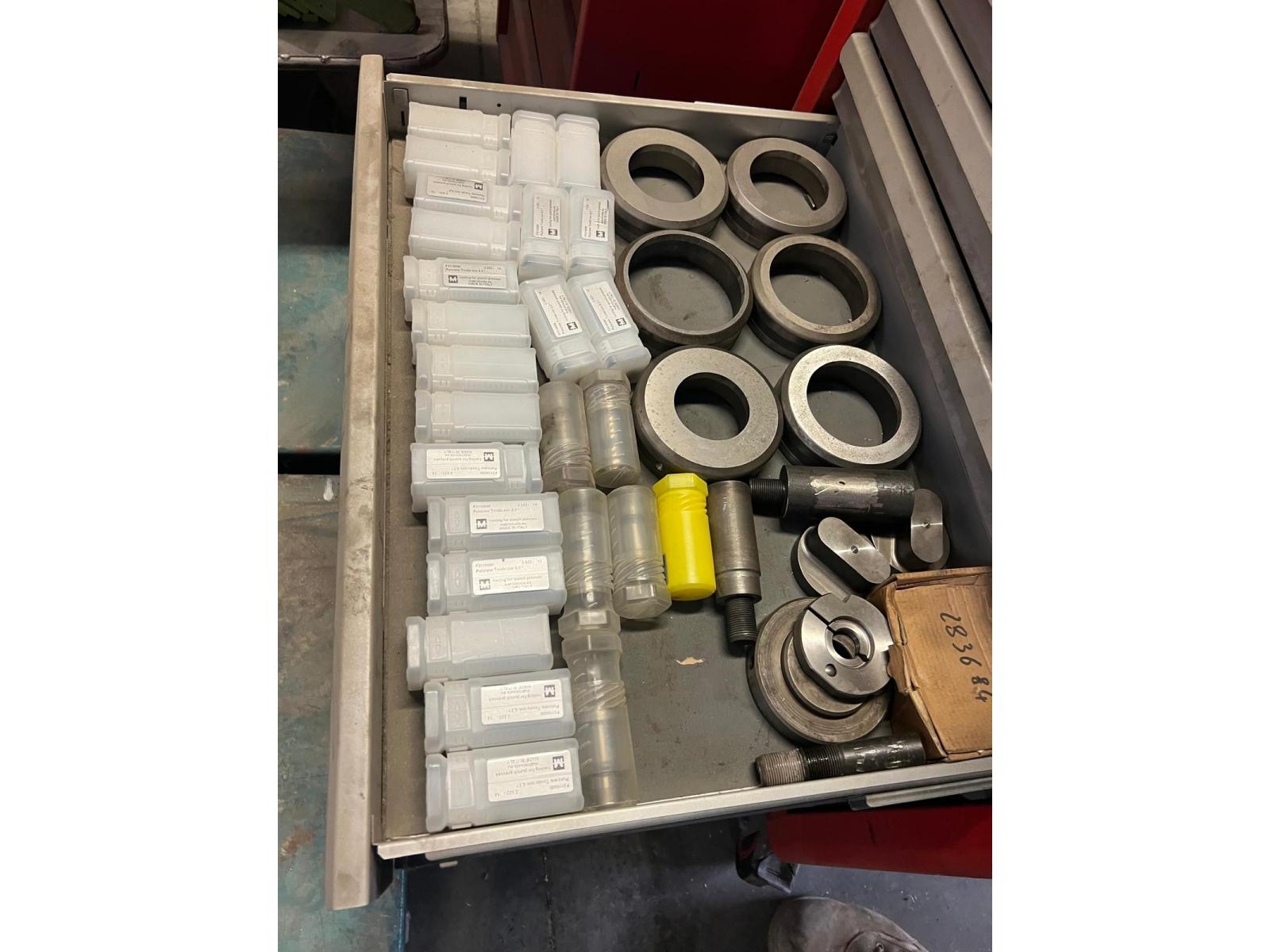 LIQUIDAZIONE IN FRIULI