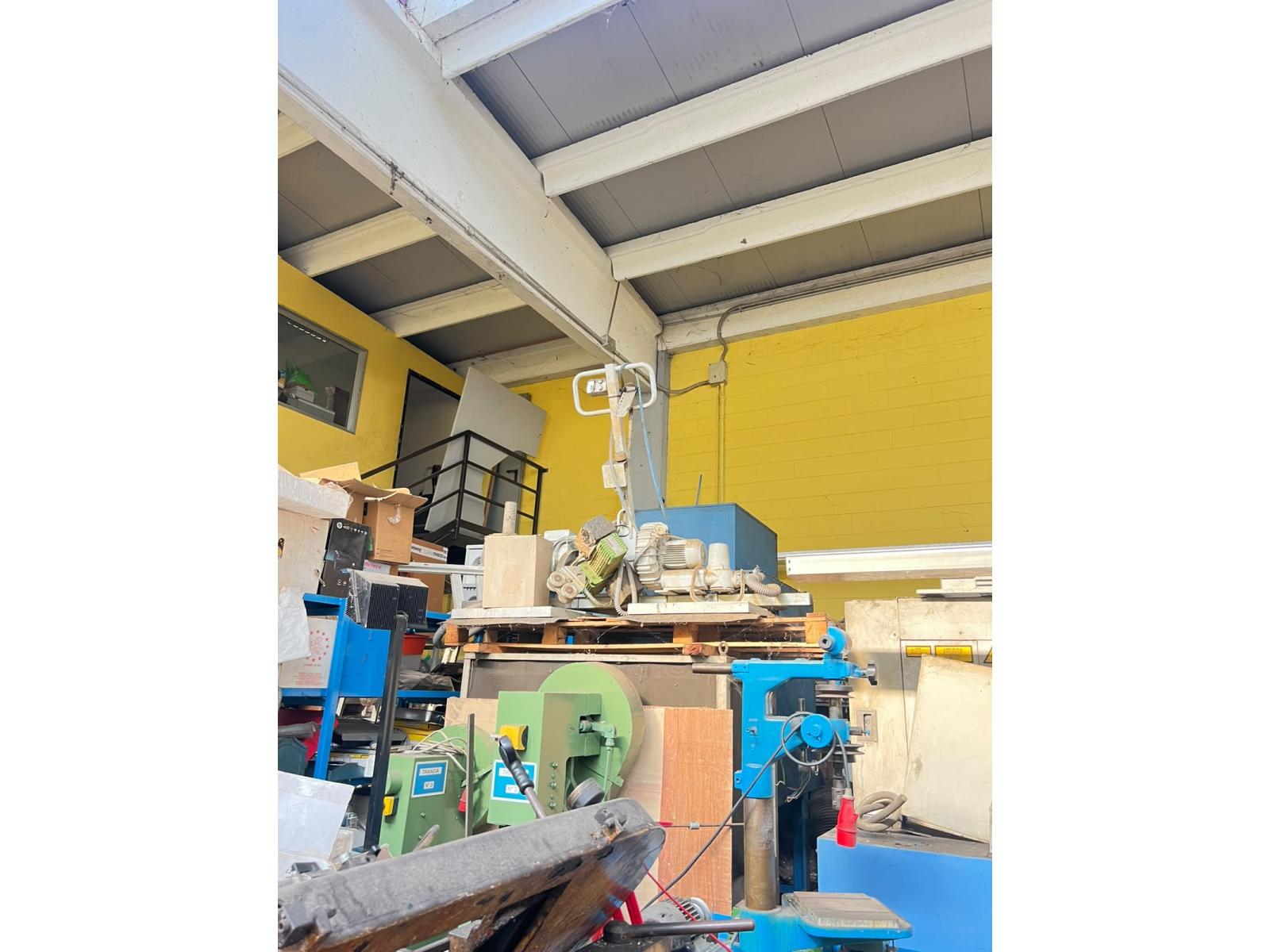 MANIPOLATORE DALMEC MAX 100 KG