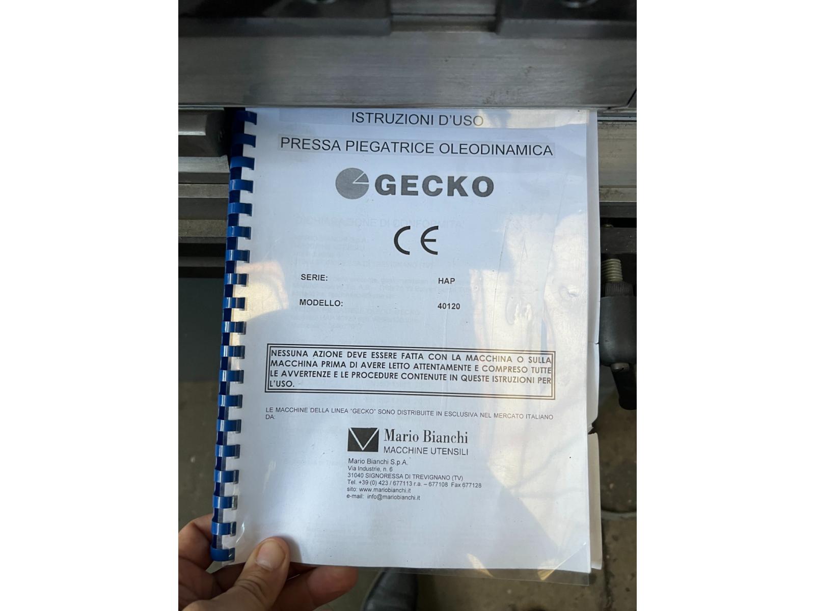 Press brake GECKO Cnc Mod hap 40120 Anno 2020