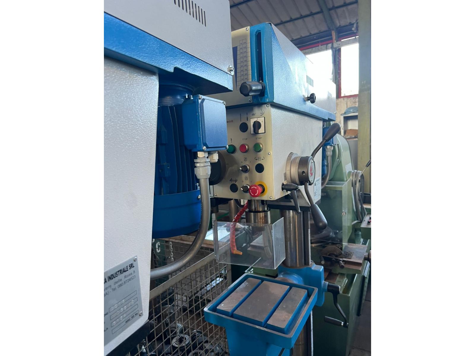 TRAPANO A COLONNA ADRIATICA